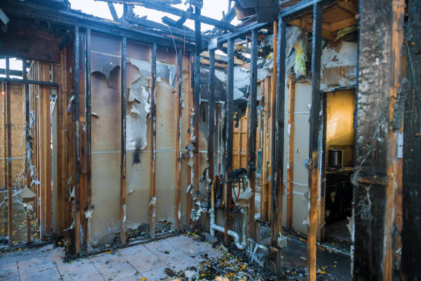 Professional Fire Damage Removal technician working in Crompond, NY